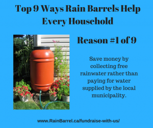 Rain Water Collection Barrel