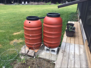 Rain Collection Barrels